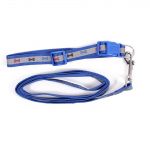 Dog Leash with Reflective Harness, Size 3